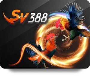 Top Tips for Playing Bum Club Slot Baccarat Online